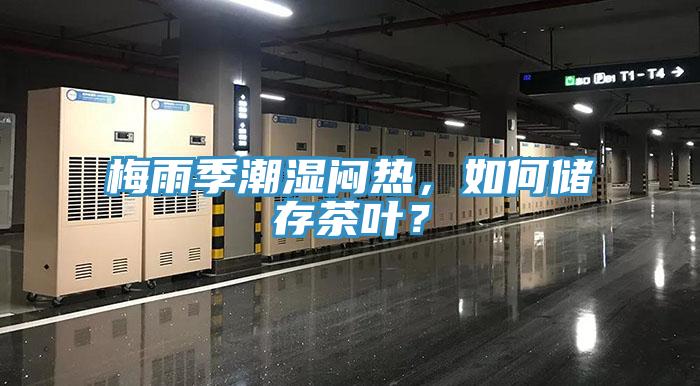 梅雨季潮濕悶熱，如何儲存茶葉？