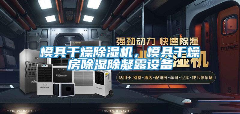 模具干燥除濕機,模具干燥房除濕除凝露設(shè)備