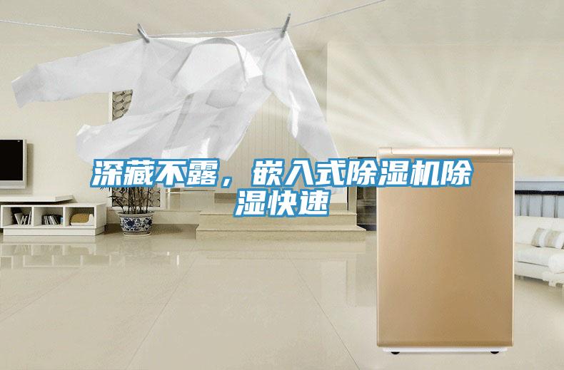 深藏不露,嵌入式除濕機除濕快速