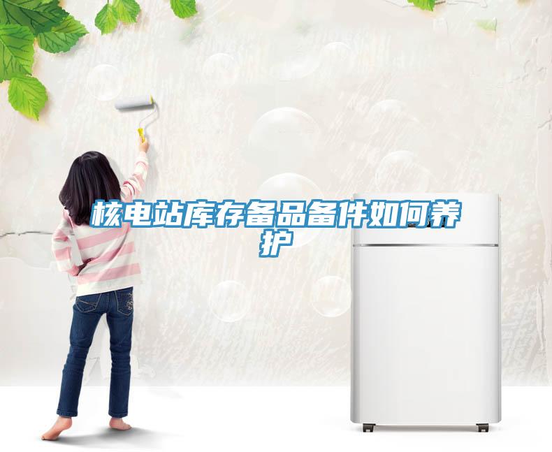 核電站庫(kù)存?zhèn)淦穫浼绾勿B(yǎng)護(hù)
