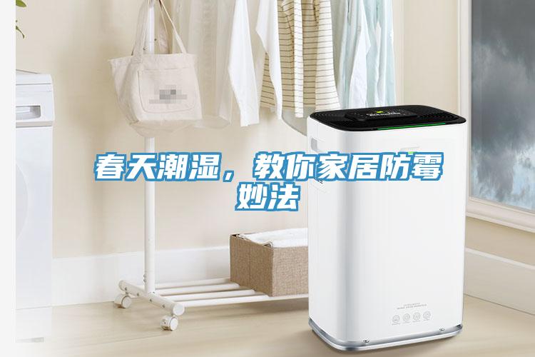 春天潮濕，教你家居防霉妙法
