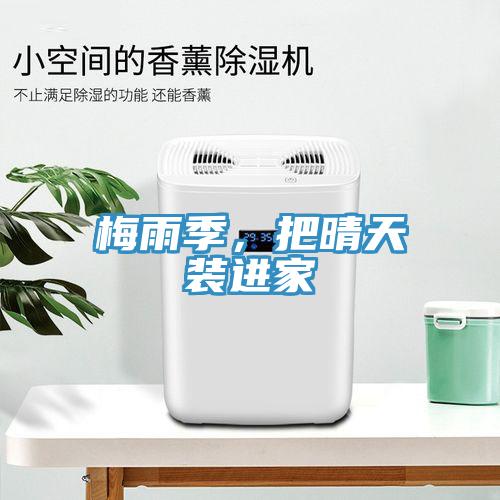 梅雨季,把晴天裝進家