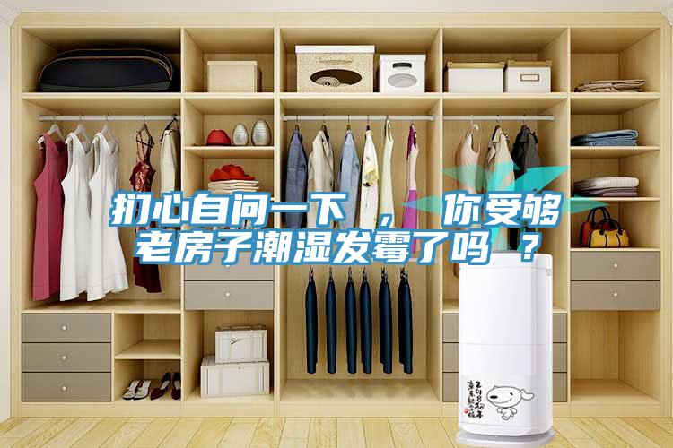 捫心自問一下 ， 你受夠老房子潮濕發(fā)霉了嗎 ？