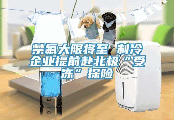禁氟大限將至 制冷企業提前赴北極“受凍”探險