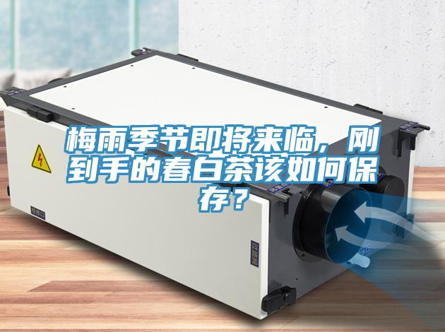 梅雨季節即將來臨，剛到手的春白茶該如何保存？