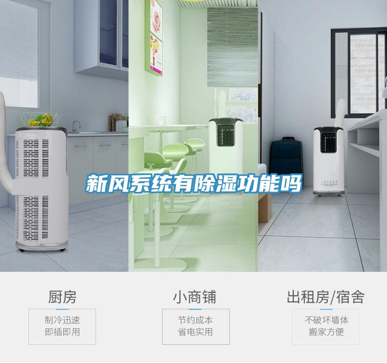 新風系統有除濕功能嗎