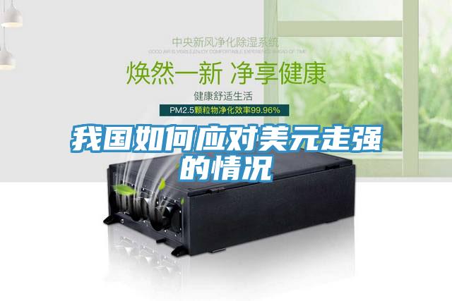 我國如何應對美元走強的情況