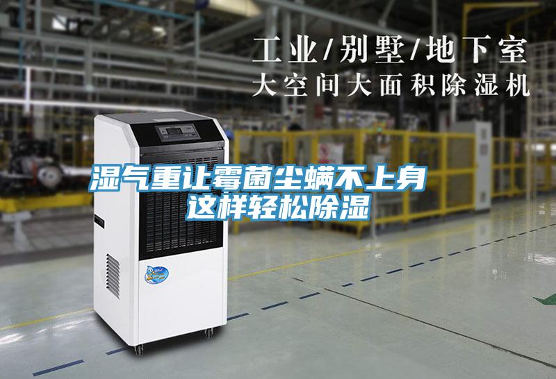 濕氣重讓霉菌塵螨不上身 這樣輕松除濕