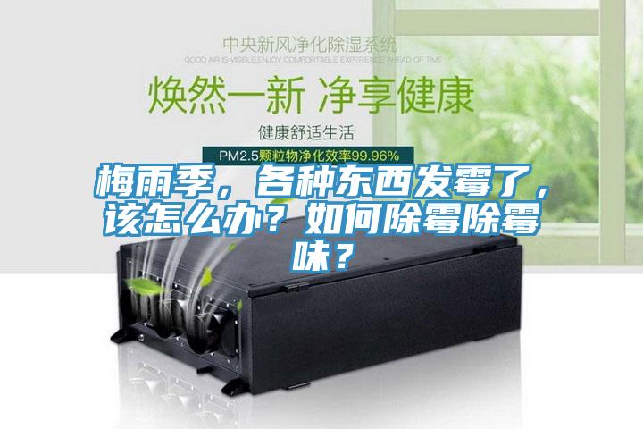 梅雨季，各種東西發霉了，該怎么辦？如何除霉除霉味？