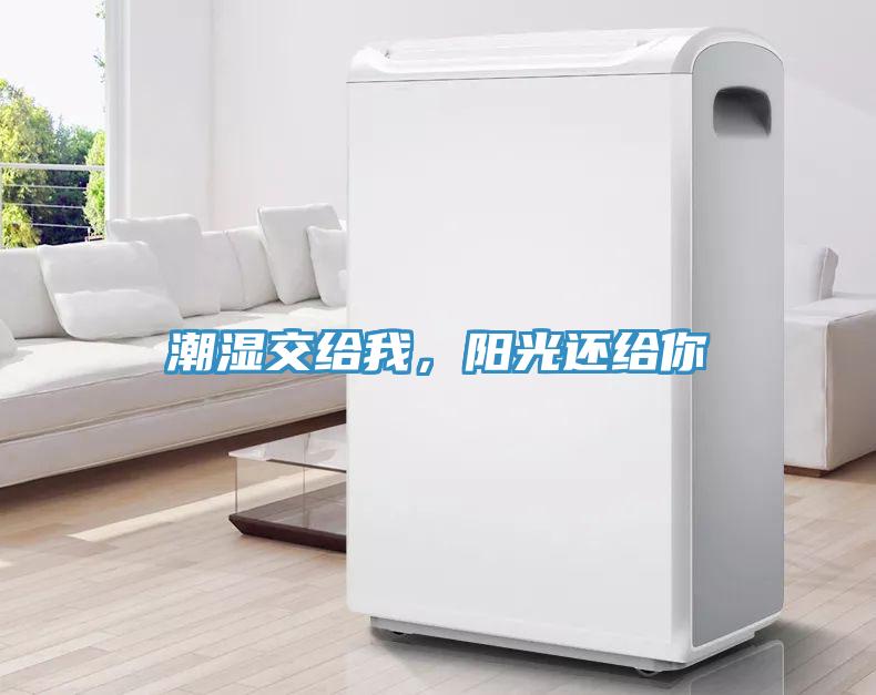 潮濕交給我,陽光還給你