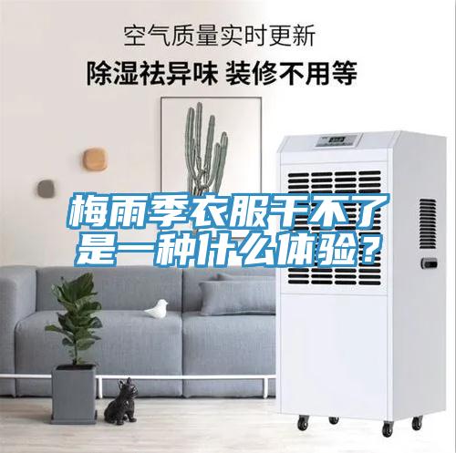 梅雨季衣服干不了是一種什么體驗?