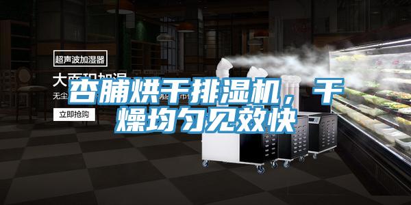 杏脯烘干排濕機，干燥均勻見效快