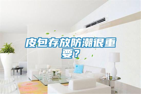 皮包存放防潮很重要?