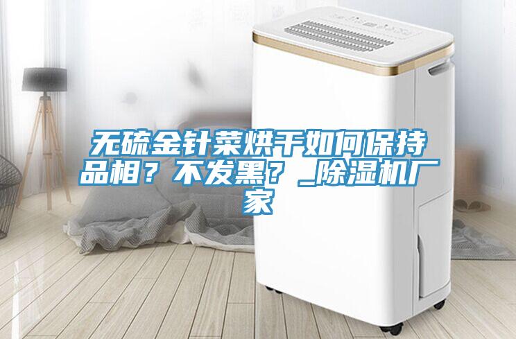 無硫金針菜烘干如何保持品相？不發黑？_除濕機廠家