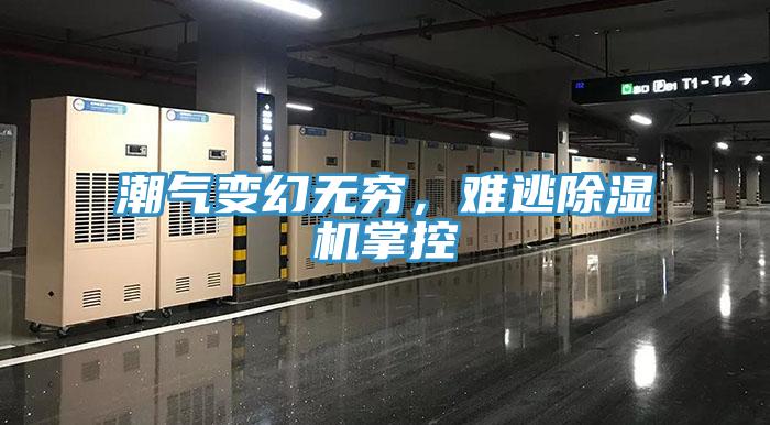 潮氣變幻無窮，難逃除濕機掌控