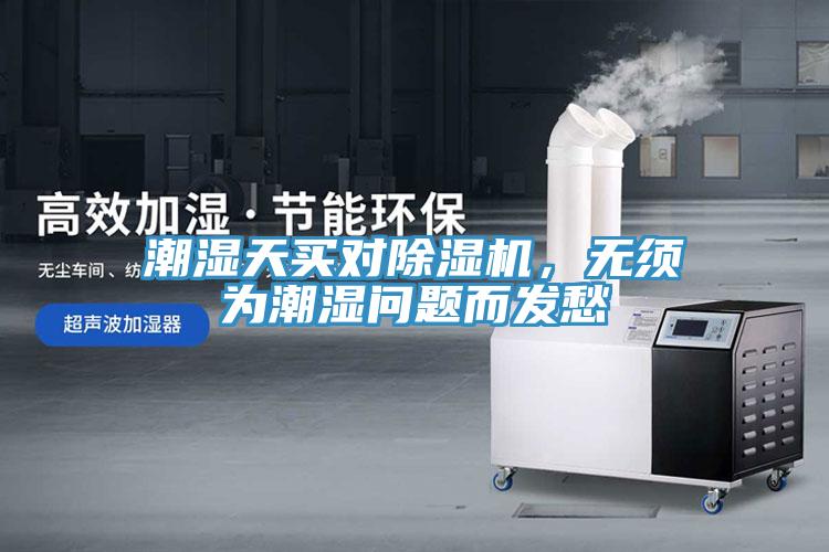 潮濕天買對除濕機，無須為潮濕問題而發愁