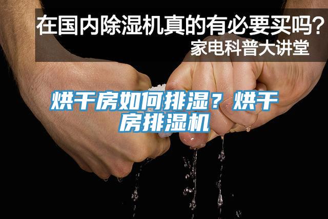 烘干房如何排濕?烘干房排濕機(jī)