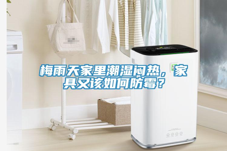 梅雨天家里潮濕悶熱，家具又該如何防霉？
