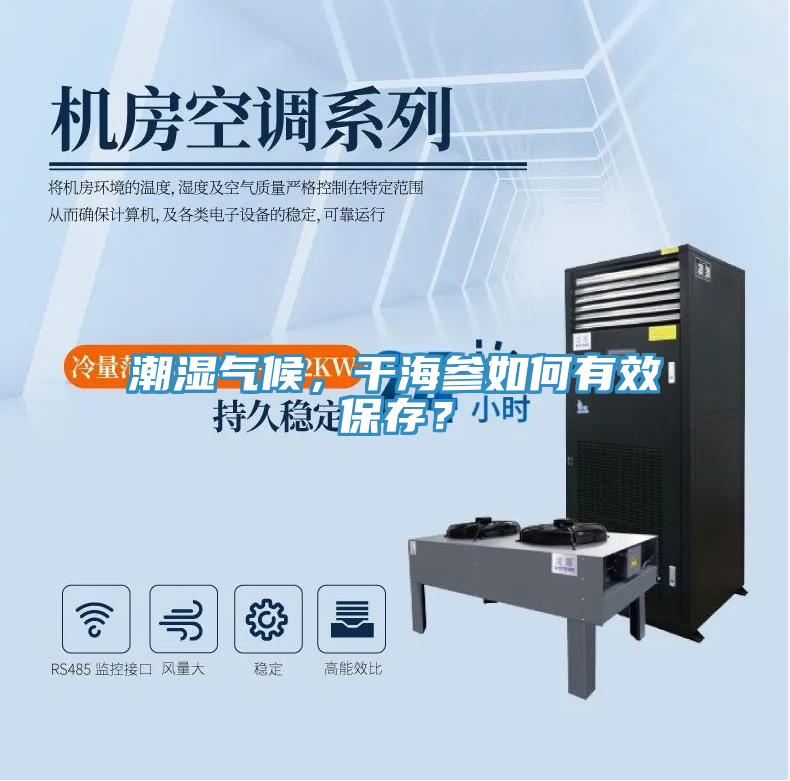 潮濕氣候,干海參如何有效保存?