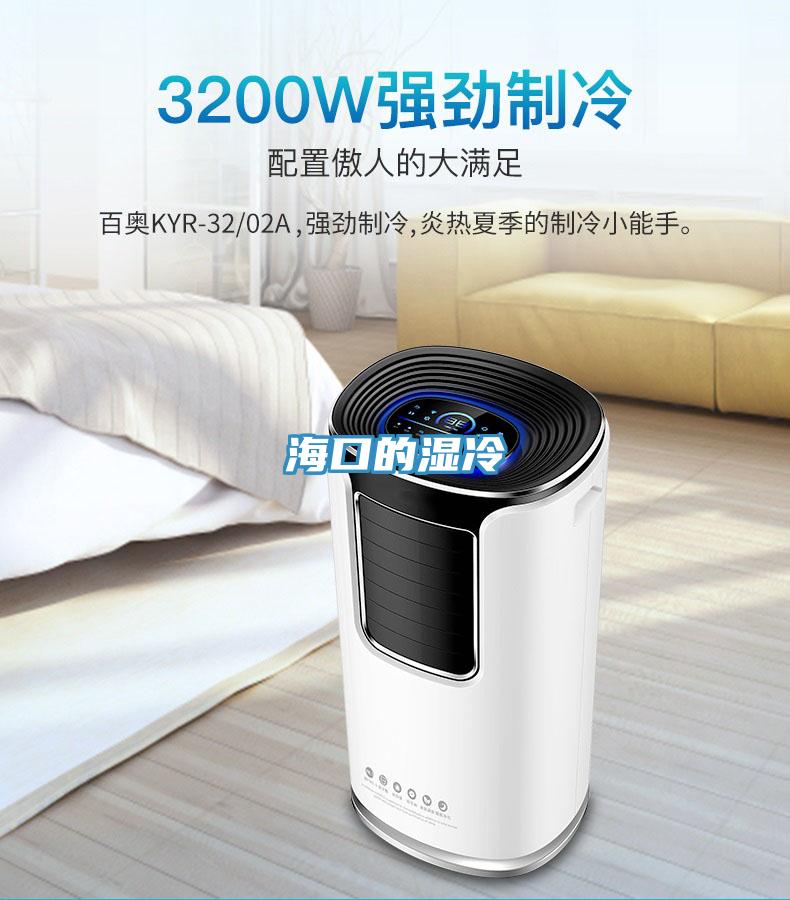 海口的濕冷