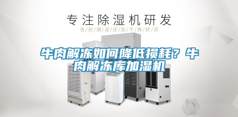 牛肉解凍如何降低損耗？牛肉解凍庫加濕機