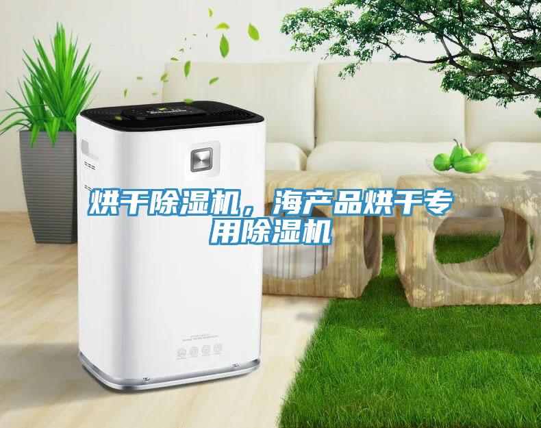 烘干除濕機,海產品烘干專用除濕機