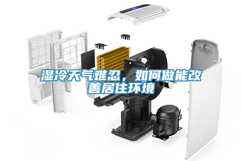 濕冷天氣難忍，如何做能改善居住環境