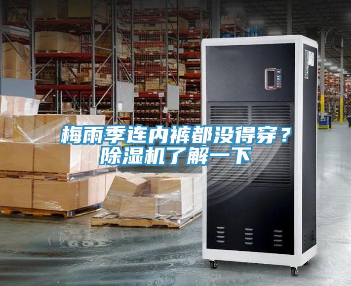 梅雨季連內褲都沒得穿?除濕機了解一下