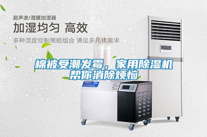 棉被受潮發霉,家用除濕機幫你消除煩惱