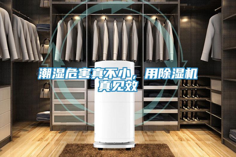潮濕危害真不小，用除濕機真見效