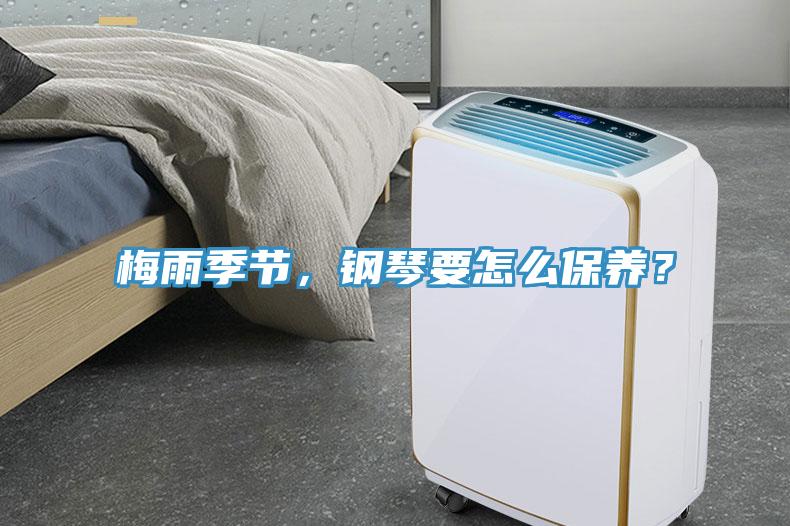 梅雨季節，鋼琴要怎么保養？