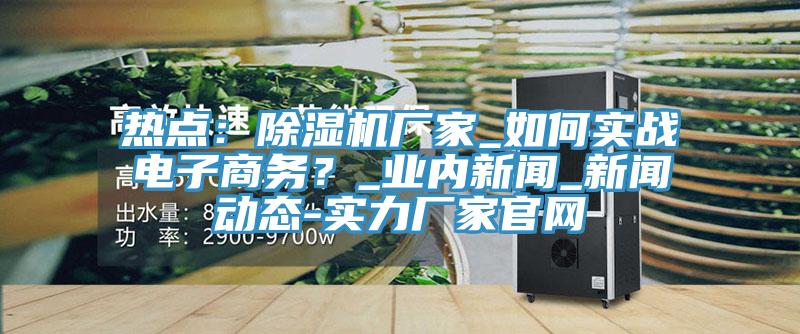 熱點(diǎn):除濕機(jī)廠家_如何實(shí)戰(zhàn)電子商務(wù)?_業(yè)內(nèi)新聞_新聞動態(tài)-實(shí)力廠家官網(wǎng)