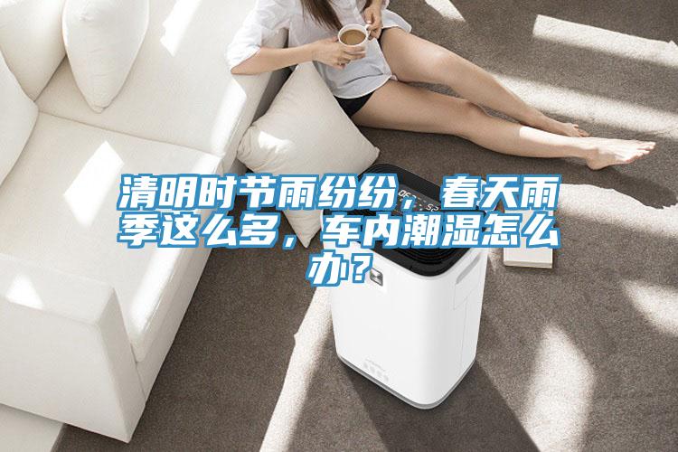 清明時節雨紛紛,春天雨季這么多,車內潮濕怎么辦?