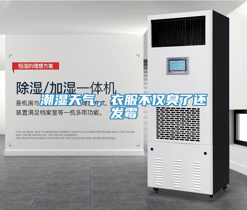 潮濕天氣,衣服不僅臭了還發霉