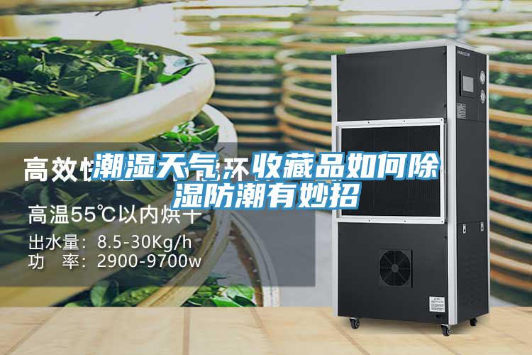 潮濕天氣,收藏品如何除濕防潮有妙招