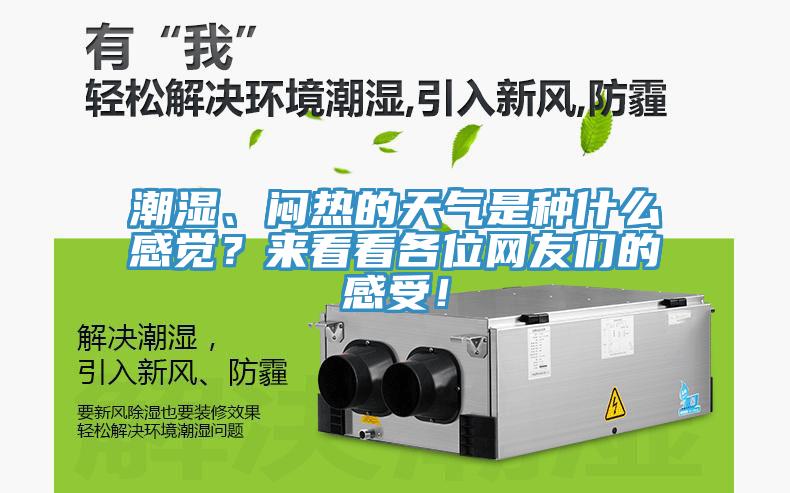 潮濕、悶熱的天氣是種什么感覺?來看看各位網(wǎng)友們的感受!