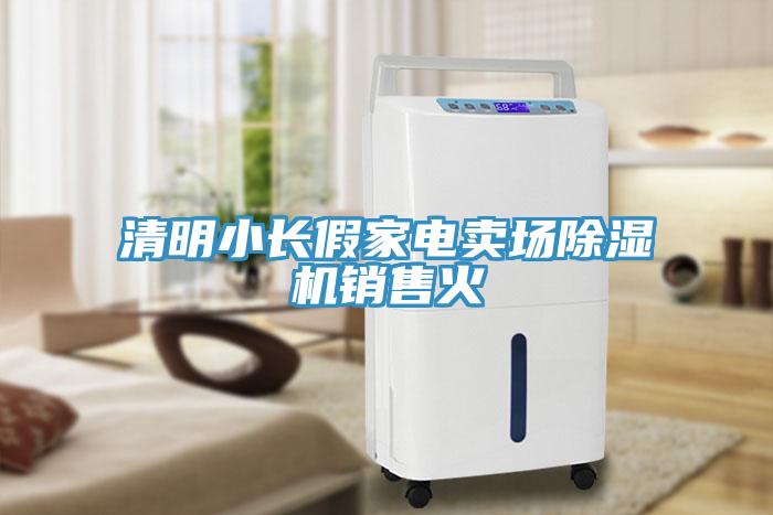 清明小長(zhǎng)假家電賣場(chǎng)除濕機(jī)銷售火