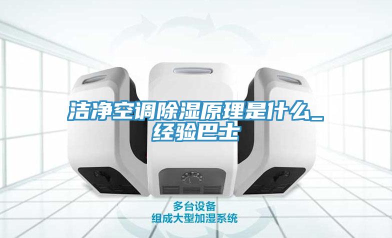 潔凈空調除濕原理是什么_經驗巴士