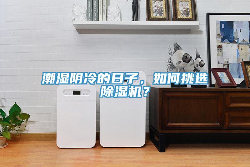 潮濕陰冷的日子,如何挑選除濕機?