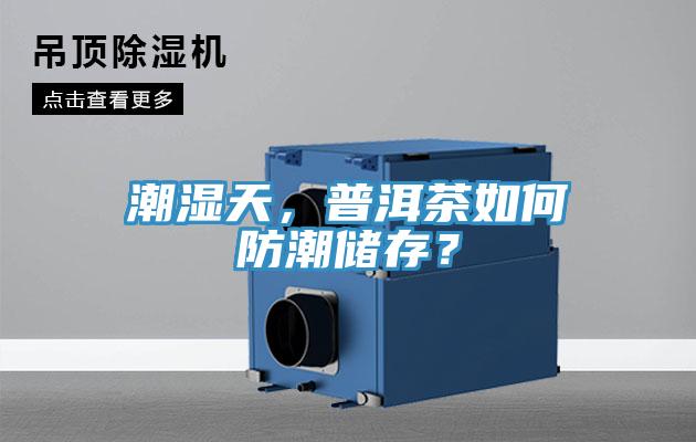 潮濕天,普洱茶如何防潮儲存?