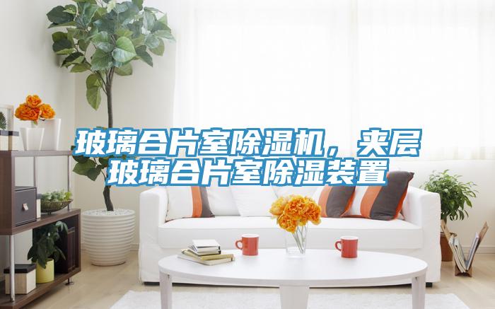 玻璃合片室除濕機,夾層玻璃合片室除濕裝置