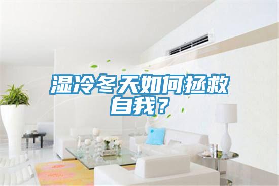 濕冷冬天如何拯救自我？