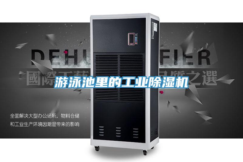 游泳池里的工業除濕機