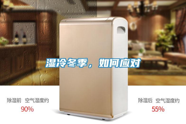 濕冷冬季，如何應對