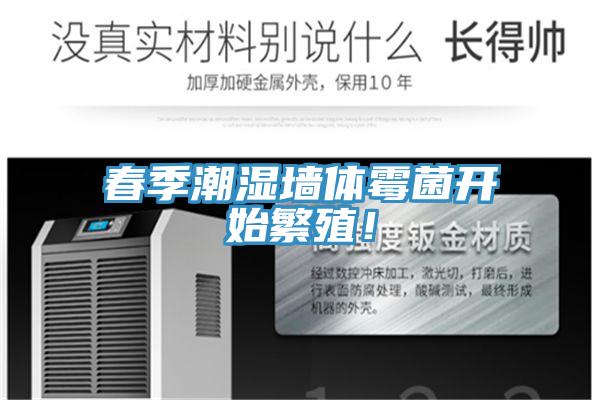 春季潮濕墻體霉菌開始繁殖!