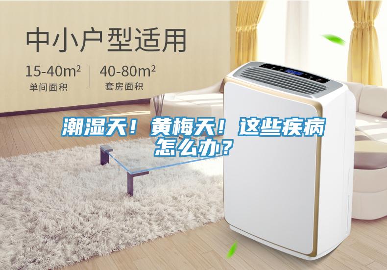潮濕天!黃梅天!這些疾病怎么辦?