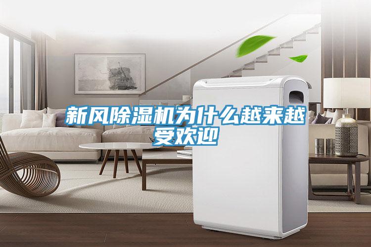 新風除濕機為什么越來越受歡迎