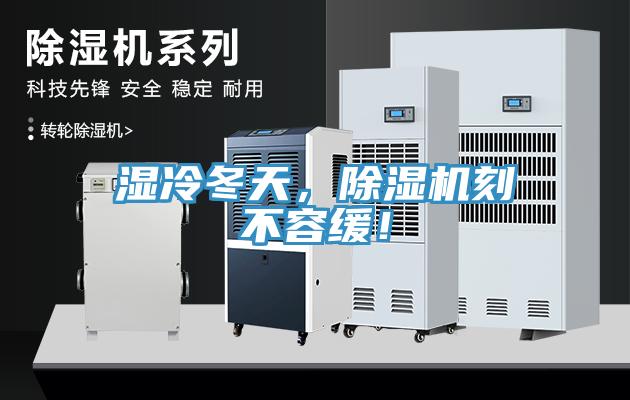 濕冷冬天，除濕機刻不容緩！