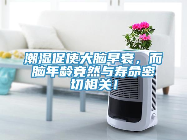 潮濕促使大腦早衰，而腦年齡竟然與壽命密切相關！