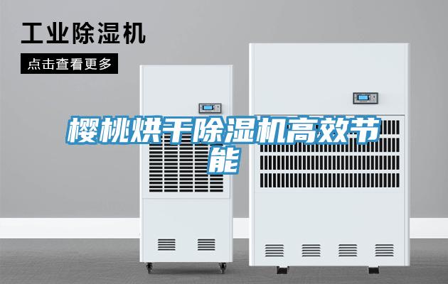 櫻桃烘干除濕機高效節能